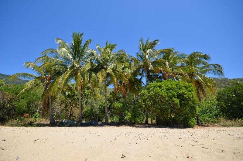 Le Cher Du Monde Adults Only Port Douglas Extérieur photo